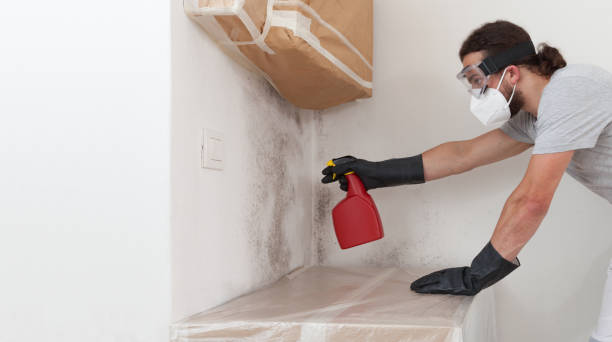 Professional Commercial Mold Remediation technician working in Rockford, IL