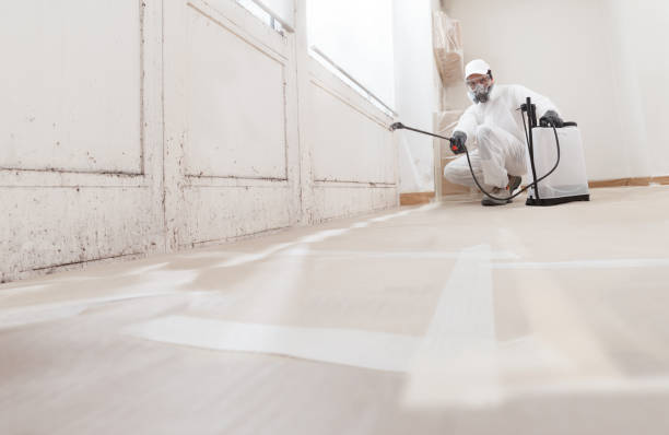 24/7 Emergency Commercial Mold Remediation experts in Rockford, IL